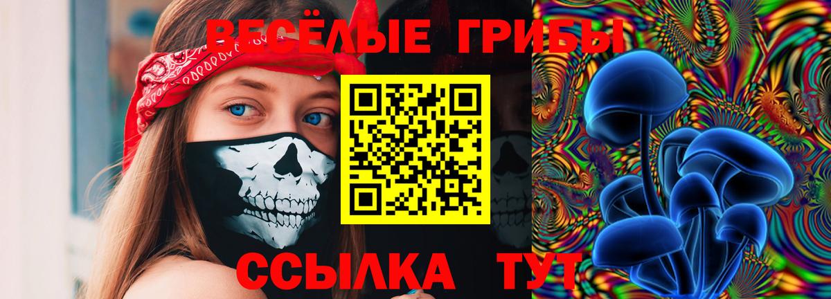 Галлюциногенные грибы мухоморы  Галлюциногенные грибы Cubensis  Вход с VPN  Александров 